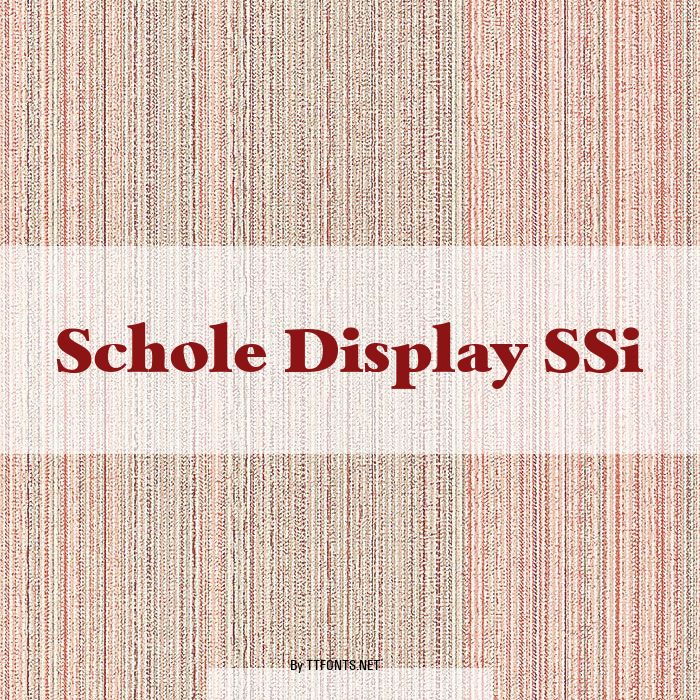 Schole Display SSi example